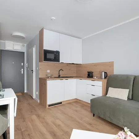 Jasny & Elegancki Typu Z Tarasem By Renters *