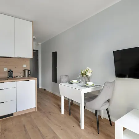 Jasny & Elegancki Typu Z Tarasem By Renters * Poznaň